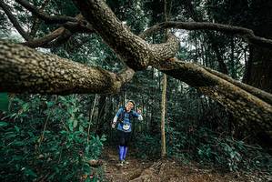 BIB: 
                            <button type="button" onclick="openModal(25705693)" class="btn btn-primary btn-sm float-right btn-popup" data-toggle="modal" data-target=".modal-high-quality">
                        <i class="fas fa-shopping-cart"></i> Add to Cart
                    </button>
                                            <button type="button" onclick="isThisMe(25705693, true)" class="btn btn-success btn-sm float-right btn-popup btn-isme hidden" data-toggle="tooltip" data-placement="bottom" title="นี่คือรูปของคุณใช่ไหม คลิกที่นี่เพื่อเอาเข้าอัลบั้ม">
                        <i class="fas fa-plus"></i> Add to album
                    </button>
                    <button type="button" onclick="isThisMe(25705693, false)" class="btn btn-warning btn-sm float-right btn-popup btn-isnotme hidden">
                        <i class="fas fa-ban"></i> Remove from album
                    </button>